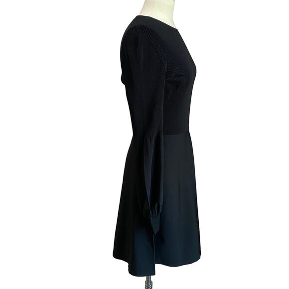 Theory Blouson Whimsigoth Sleeve Fit & Flare Witchy Dress NWT Sz Large - Picture 2 of 10